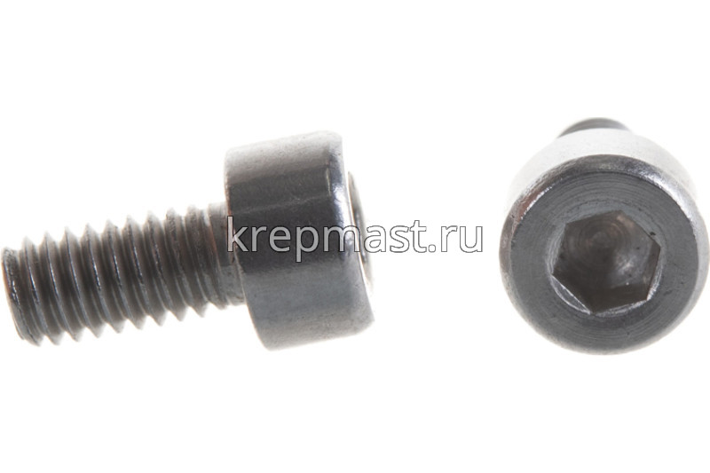Винт с внутр.шестигранником 4 х 8 DIN 912