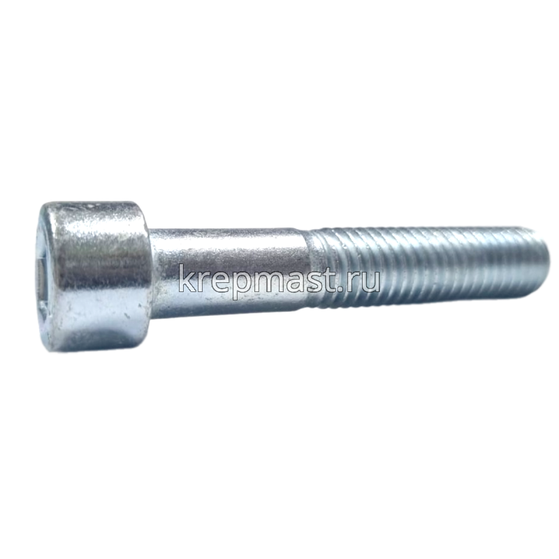 Винт с внутр.шестигранником 10 х 55 DIN 912